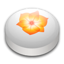 Adobe Illustrator CS2 icon